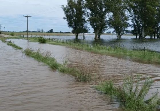El costo del agua: la Sociedad Rural alerta pérdidas millonarias en Nueve de Julio
