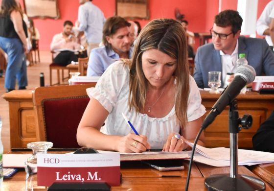 Tras la controversia, Fuerza Patria formalizó el pedido de informes por el aeródromo