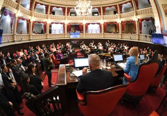 Reparto de poder en el Senado: la Cuarta ganó peso en las vicepresidencias 