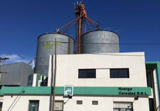 Productores de la región llevan a la Justicia a una cerealera por deudas millonarias
