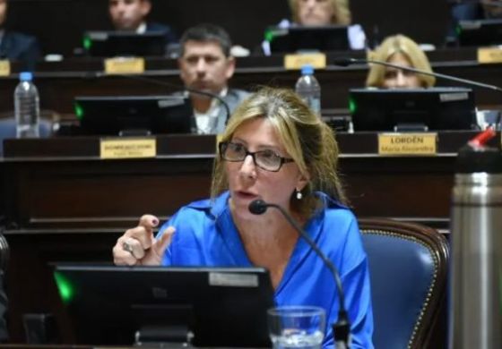 &ldquo;Cuánto cinismo&rdquo;: diputada de la Cuarta estalló tras la promesa de retenciones cero de un funcionario nacional