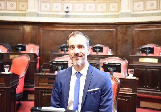 Petrecca planteó medidas ante amenazas escolares: &ldquo;El Estado no puede seguir reaccionando tarde frente a cada crisis"