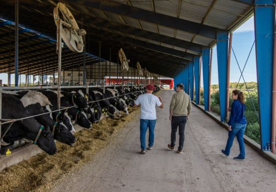Intendente de la Cuarta pone el foco en la producción lechera y apuesta a más inversión en el agro