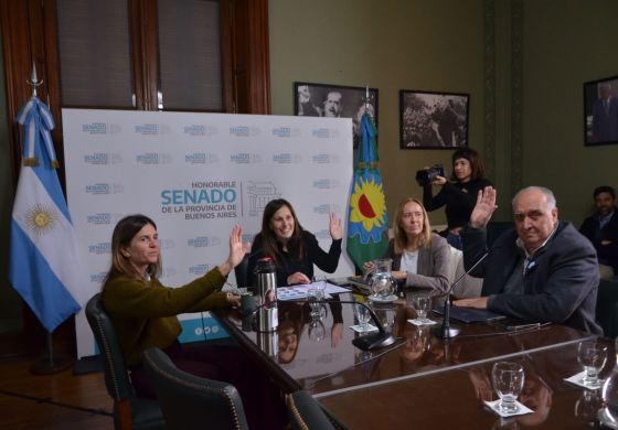 Los libertarios de la Cuarta se llevaron otra comisión de relevancia en el Senado