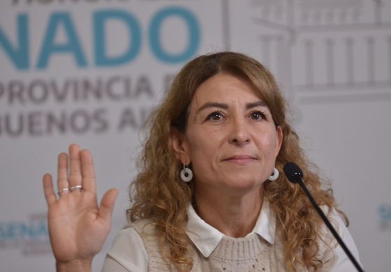 Ahora, la UCR: Otra comisión del Senado quedó en manos de la Cuarta