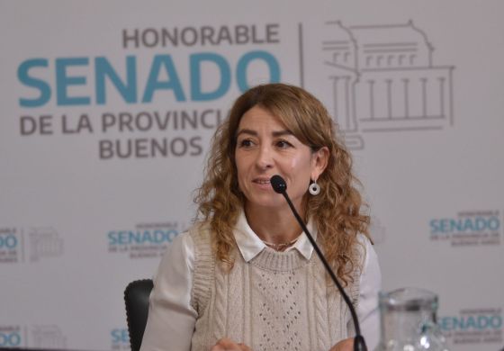 El plan de una senadora de la Cuarta para fortalecer las pequeñas localidades de la región