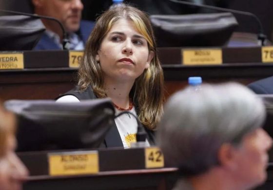 Una por una, las comisiones que quedaron a cargo de diputados de la Cuarta