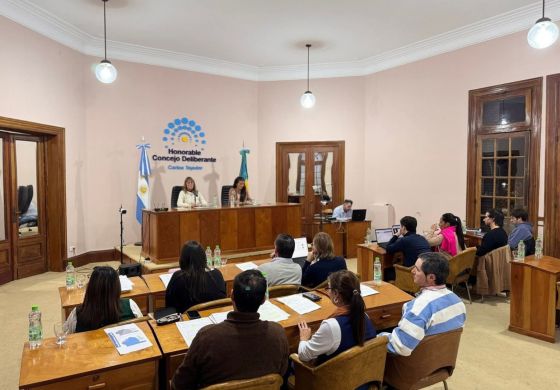  El Concejo se plantó contra la quita de la Zona Fría y aisló a LLA