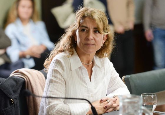 Senadora radical arremetió contra la gestión de Milei: "La realidad de la gente es el desamparo"