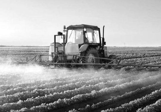 Desde la Cuarta reclaman una ley específica para las fumigaciones en los campos