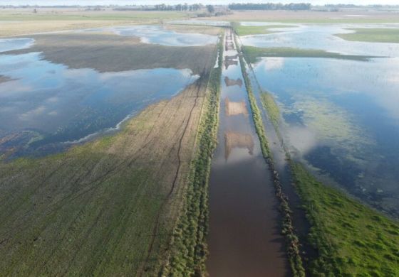 Para evitar inundaciones en el corazón productivo, desde la Cuarta proponen un medición de las napas