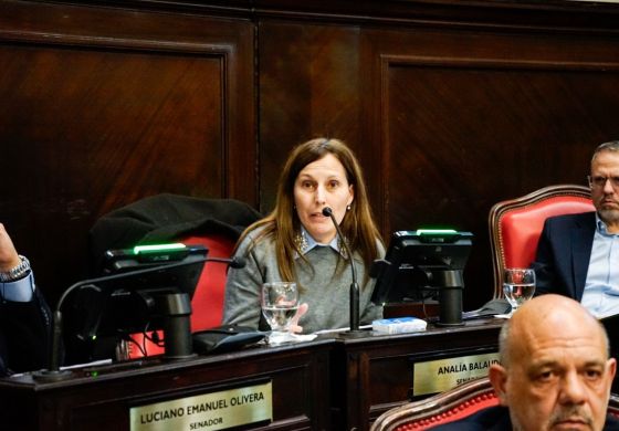 Desde la Cuarta, van por una rebaja en el Impuesto Automotor: de qué se trata