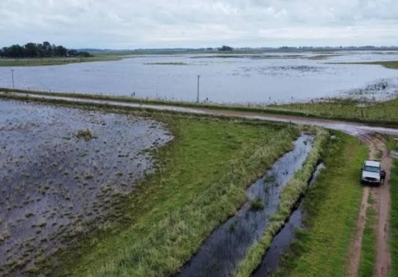  El campo mira de reojo a &ldquo;El Niño&rdquo; y empieza a tomar recaudos