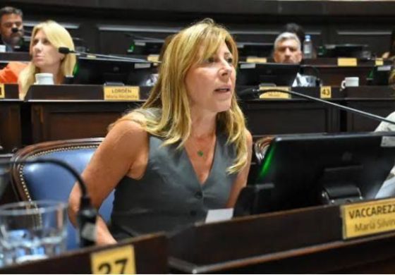 Los puso en la &ldquo;ruleta financiera&rdquo;: el dardo de Vaccarezza al gobierno de Milei por los fondos para obras hídricas