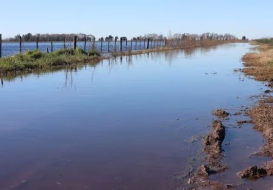 La emergencia agropecuaria llegó a un distrito de la Cuarta: los detalles